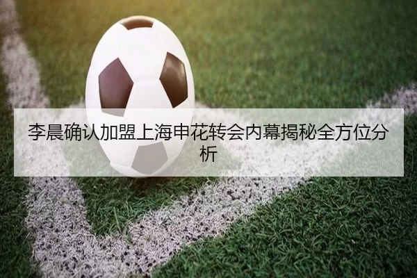 李晨确认加盟上海申花转会内幕揭秘全方位分析